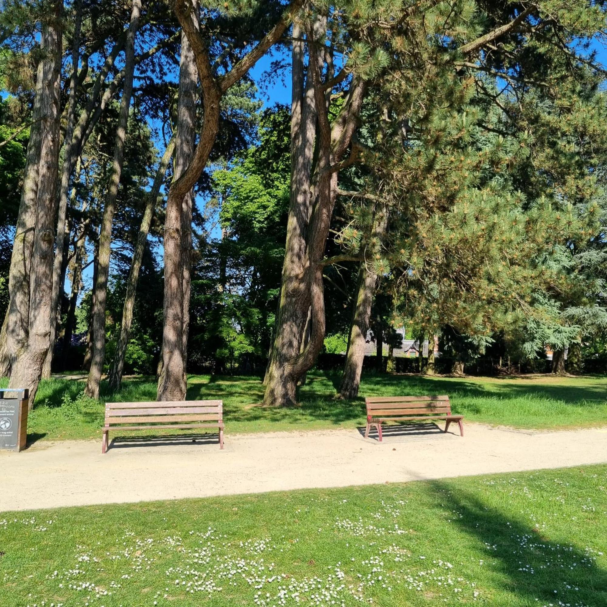 Chinese Pavilion Park - Magnificent