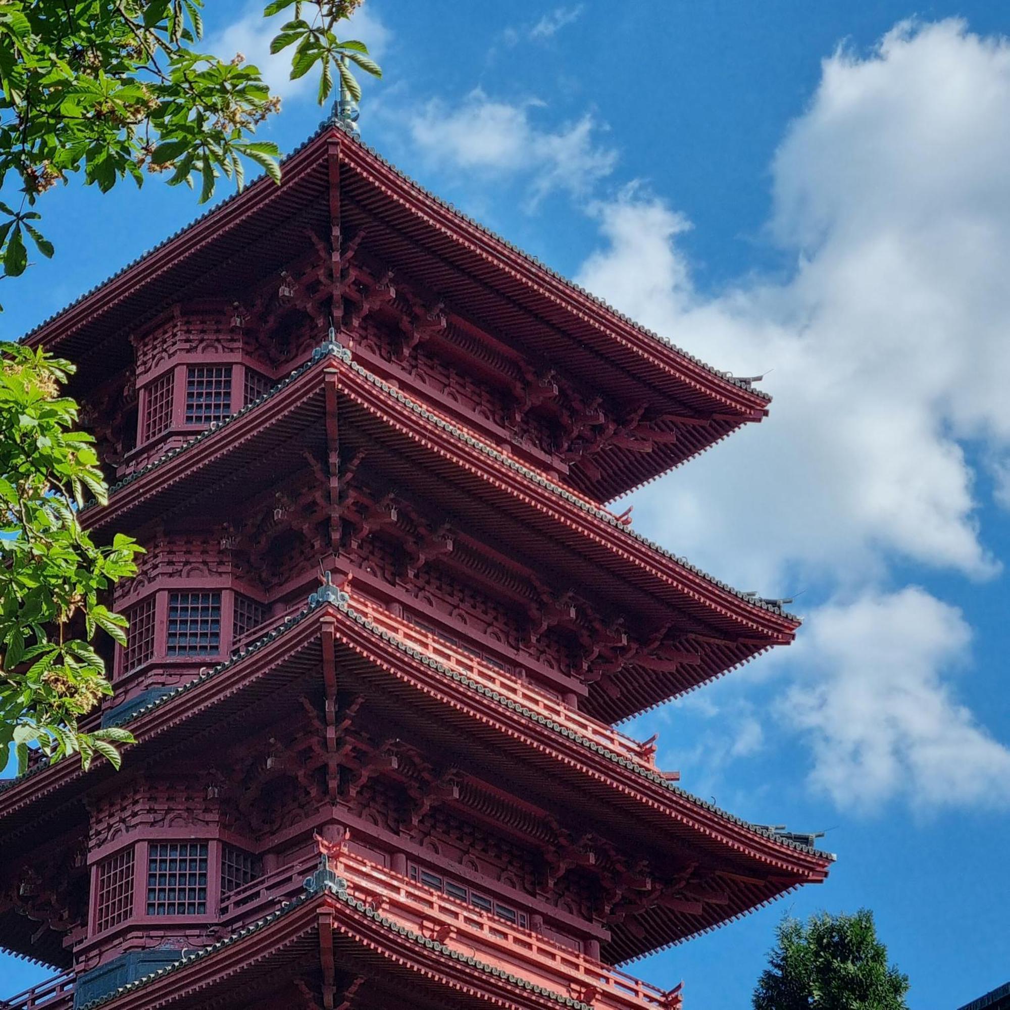 Chinese Pavilion Park - Magnificent Appartement